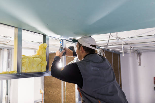 Best Professional Insulation Contractor  in Oill, NE
