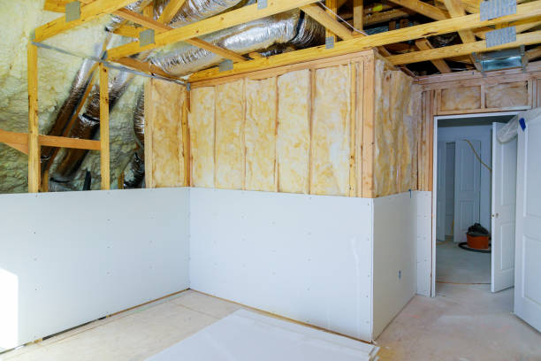 Best Insulation Inspection Services  in Oill, NE