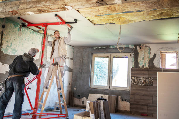 Best Insulation Inspection Services  in Oill, NE