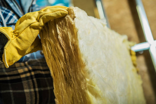 Best Cellulose Insulation  in Oill, NE