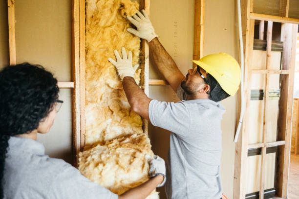 Best Insulation Repair Services  in Oill, NE