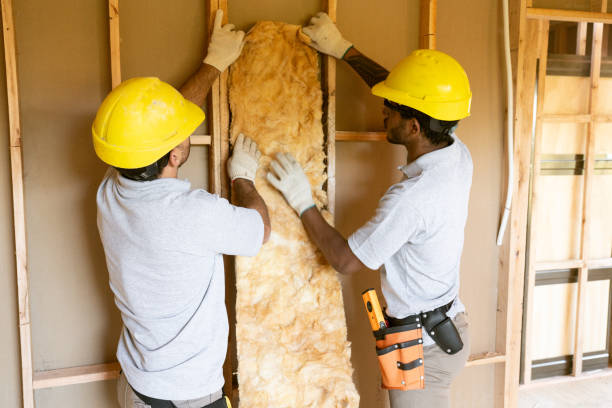 Best Insulation Repair Services  in Oill, NE