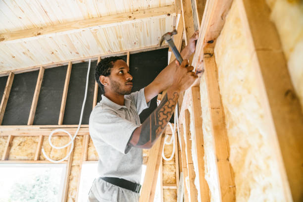 Best Spray Foam Insulation  in Oill, NE