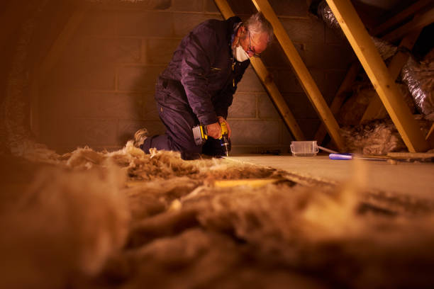 Best Residential Insulation Services  in Oill, NE